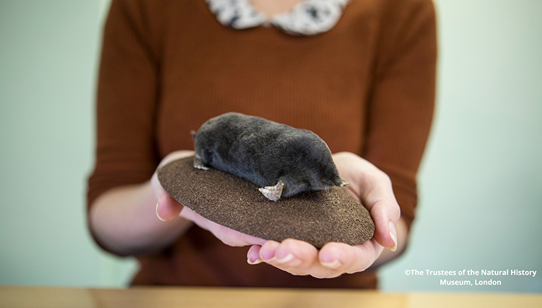 Woman holding a specimen on a rock